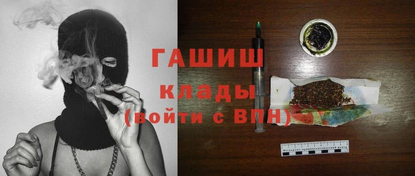 индика Балахна