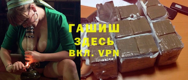 индика Балахна