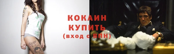 индика Балахна