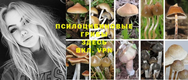 хмурый Баксан