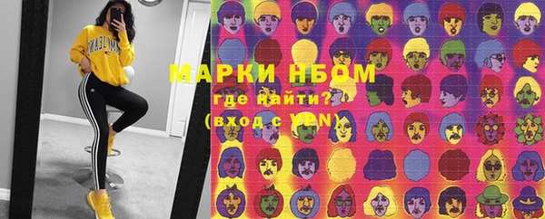 индика Балахна