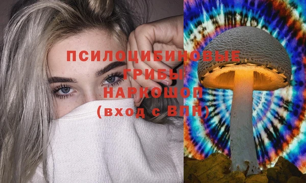 индика Балахна