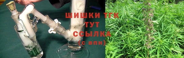 индика Балахна