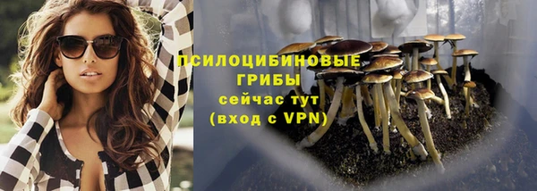 индика Балахна