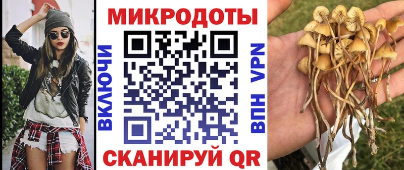 Купить закладки  Вельск  Псилоцибиновые грибы мицелий 